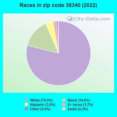 Races in zip code 38340 (2022)