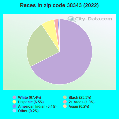 Races in zip code 38343 (2022)