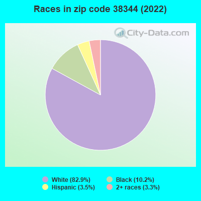 Races in zip code 38344 (2022)