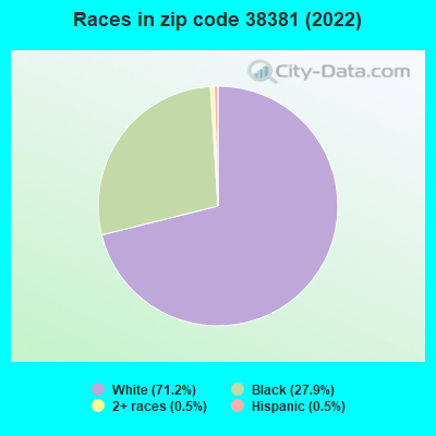 Races in zip code 38381 (2022)