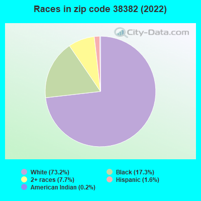 Races in zip code 38382 (2022)