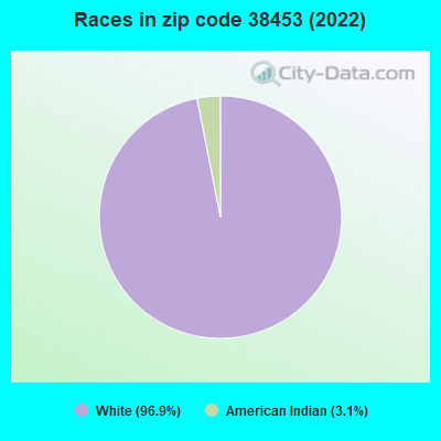 Races in zip code 38453 (2022)