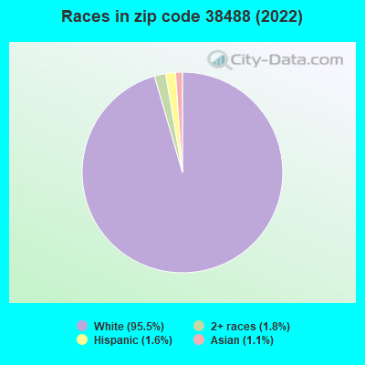 Races in zip code 38488 (2022)