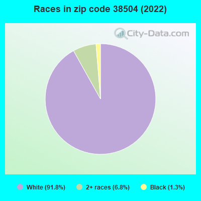 Races in zip code 38504 (2022)