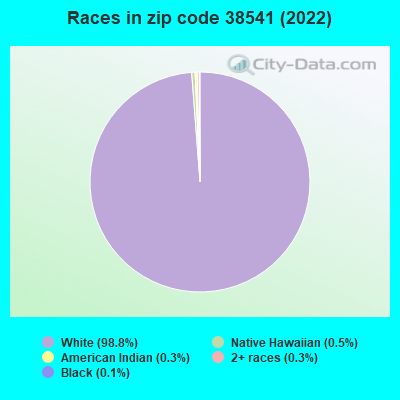 Races in zip code 38541 (2022)