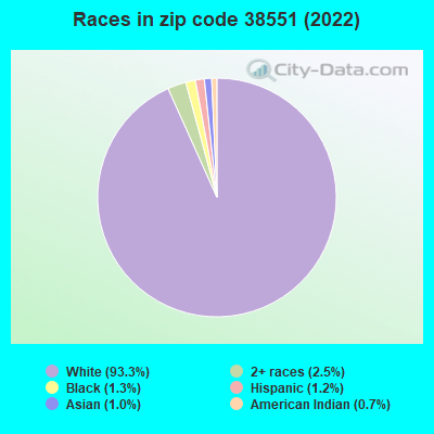 Races in zip code 38551 (2022)