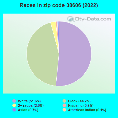 Races in zip code 38606 (2022)