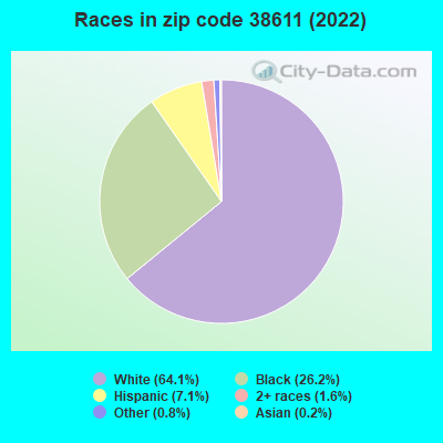 Races in zip code 38611 (2022)