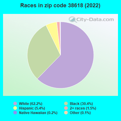 Races in zip code 38618 (2022)