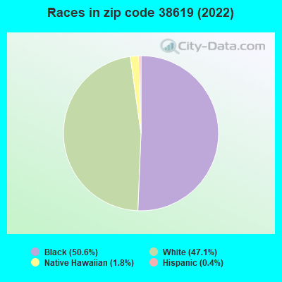 Races in zip code 38619 (2022)