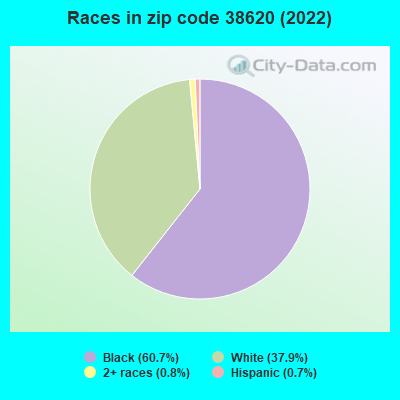 Races in zip code 38620 (2022)