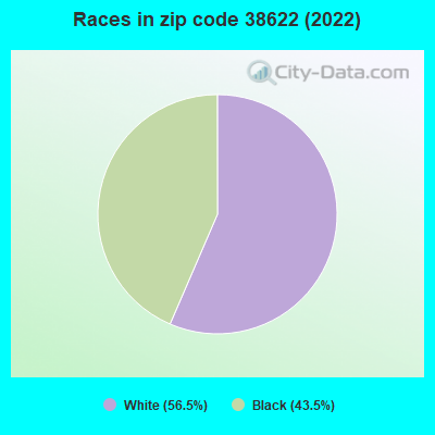 Races in zip code 38622 (2022)