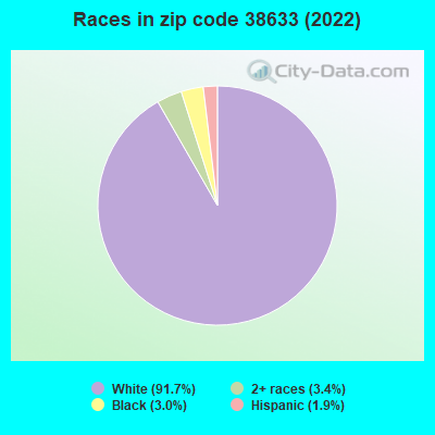 Races in zip code 38633 (2022)