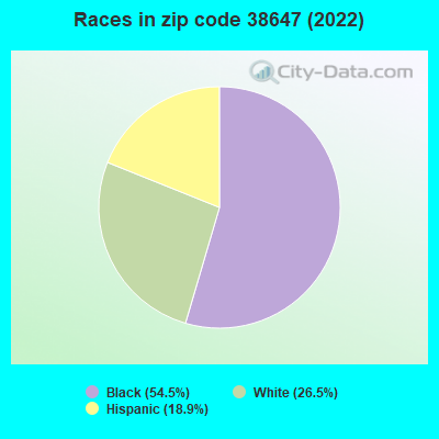 Races in zip code 38647 (2022)