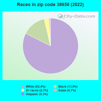 Races in zip code 38650 (2022)