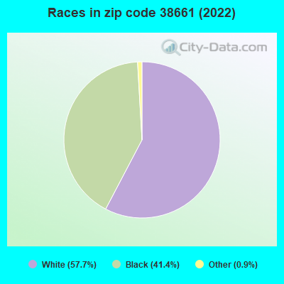 Races in zip code 38661 (2022)