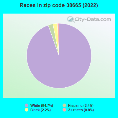 Races in zip code 38665 (2022)