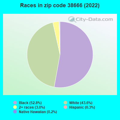 Races in zip code 38666 (2022)