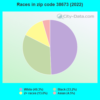 Races in zip code 38673 (2022)