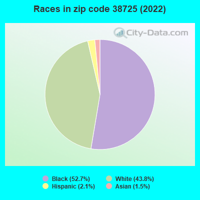Races in zip code 38725 (2022)