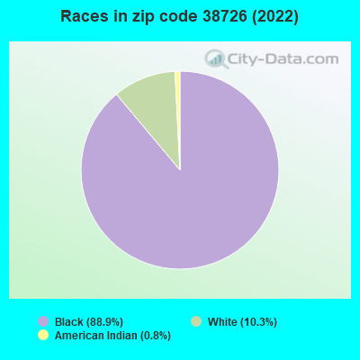 Races in zip code 38726 (2022)