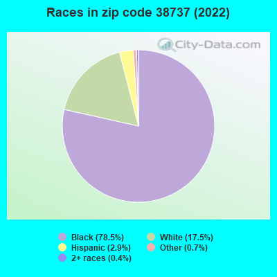 Races in zip code 38737 (2022)
