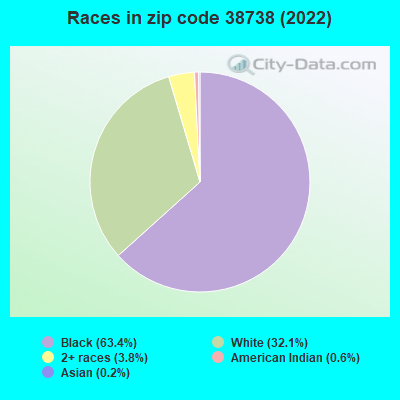 Races in zip code 38738 (2022)