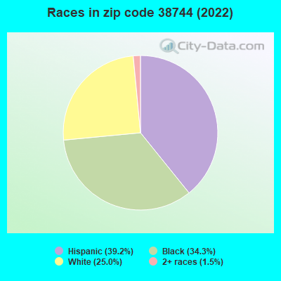 Races in zip code 38744 (2022)