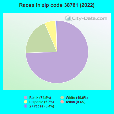 Races in zip code 38761 (2022)