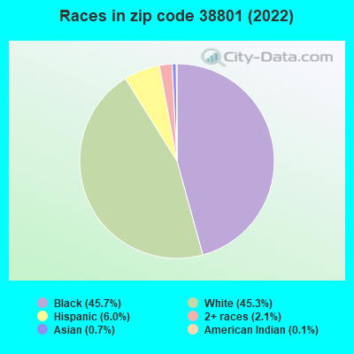 Races in zip code 38801 (2022)