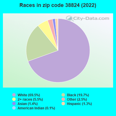 Races in zip code 38824 (2022)