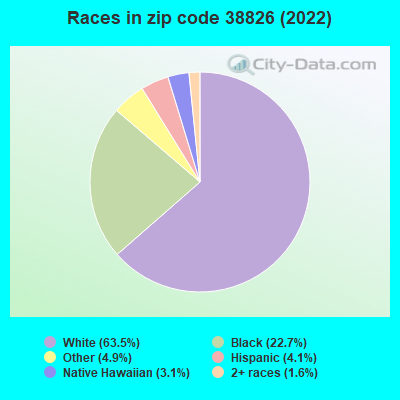 Races in zip code 38826 (2022)