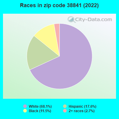 Races in zip code 38841 (2022)