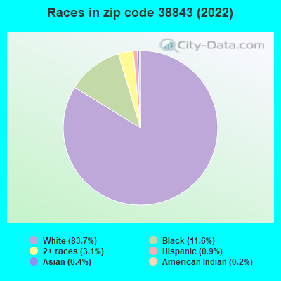 Races in zip code 38843 (2022)