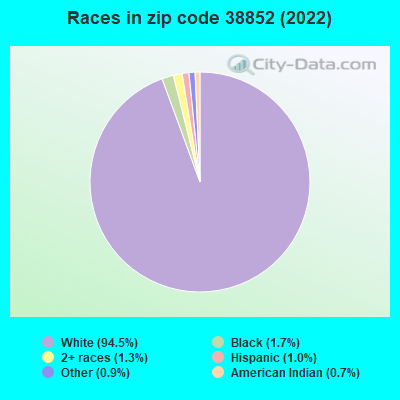 Races in zip code 38852 (2022)