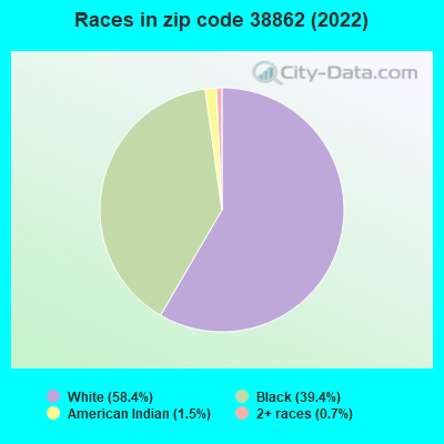 Races in zip code 38862 (2022)