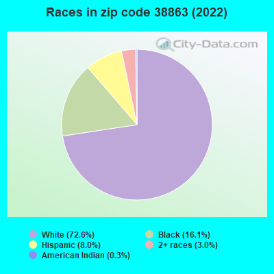 Races in zip code 38863 (2022)