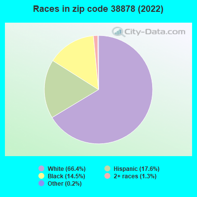 Races in zip code 38878 (2022)