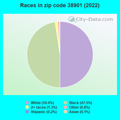 Races in zip code 38901 (2022)