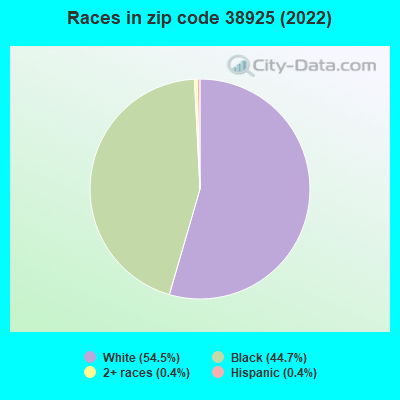 Races in zip code 38925 (2022)