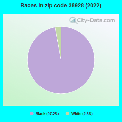 Races in zip code 38928 (2022)