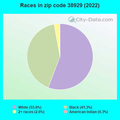 Races in zip code 38929 (2022)