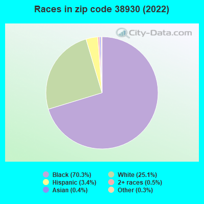 Races in zip code 38930 (2022)