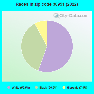 Races in zip code 38951 (2022)