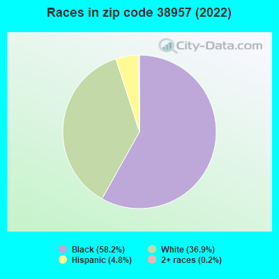 Races in zip code 38957 (2022)