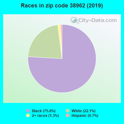 Races in zip code 38962 (2019)