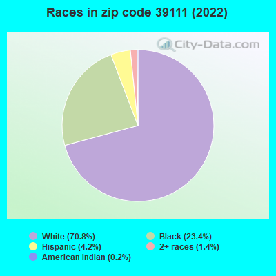 Races in zip code 39111 (2022)