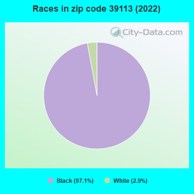 Races in zip code 39113 (2022)