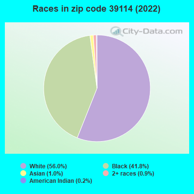 Races in zip code 39114 (2022)