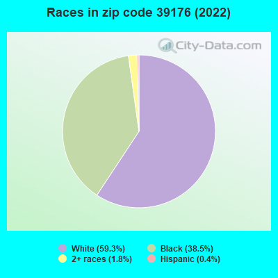 Races in zip code 39176 (2022)